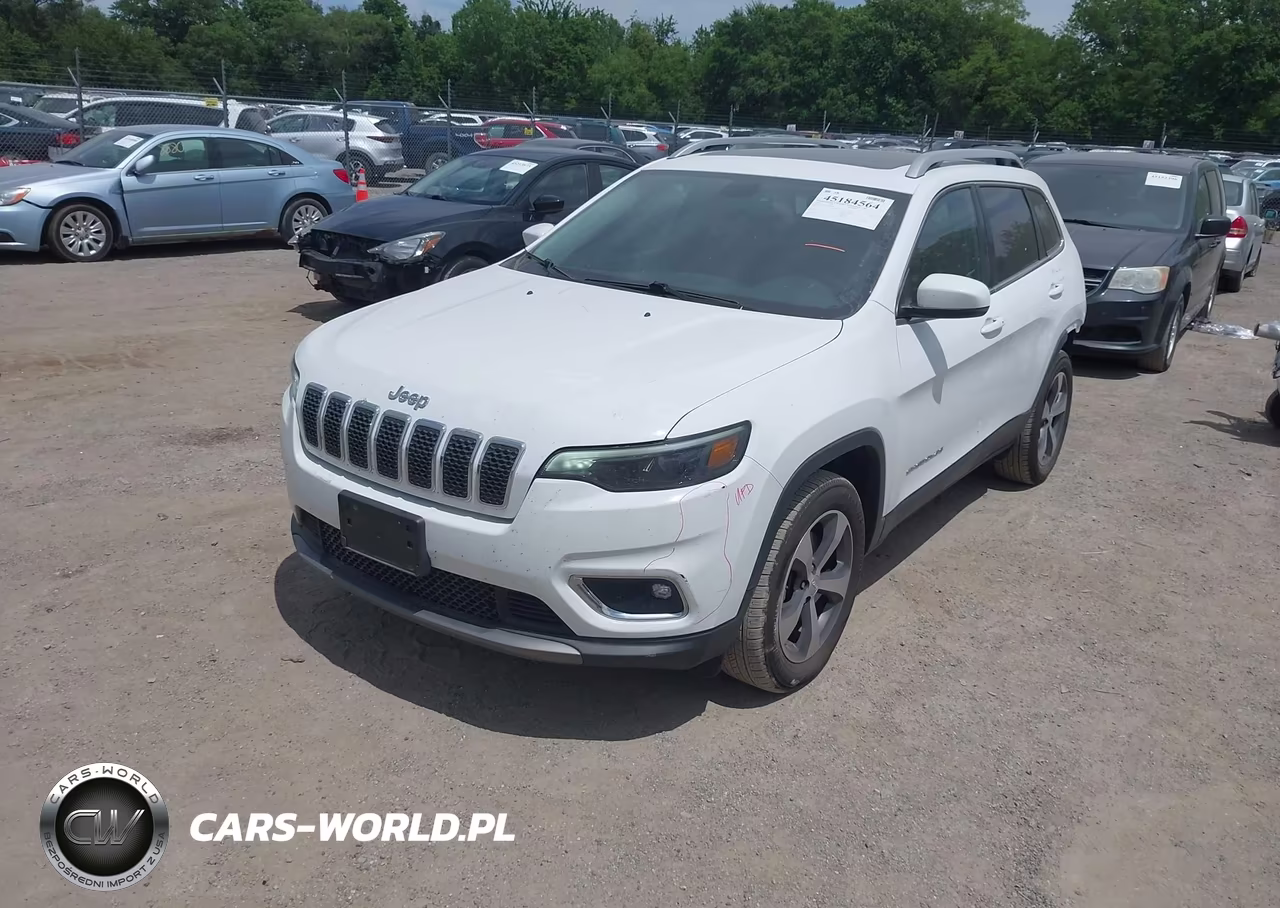 2019 Jeep Cherokee Limited 4X4 VIN:1C4PJMDX4KD437666 - 2