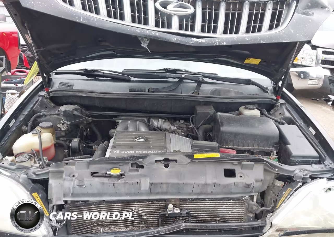 2001 Lexus Rx 300 VIN:JTJHF10U610191058 - 10