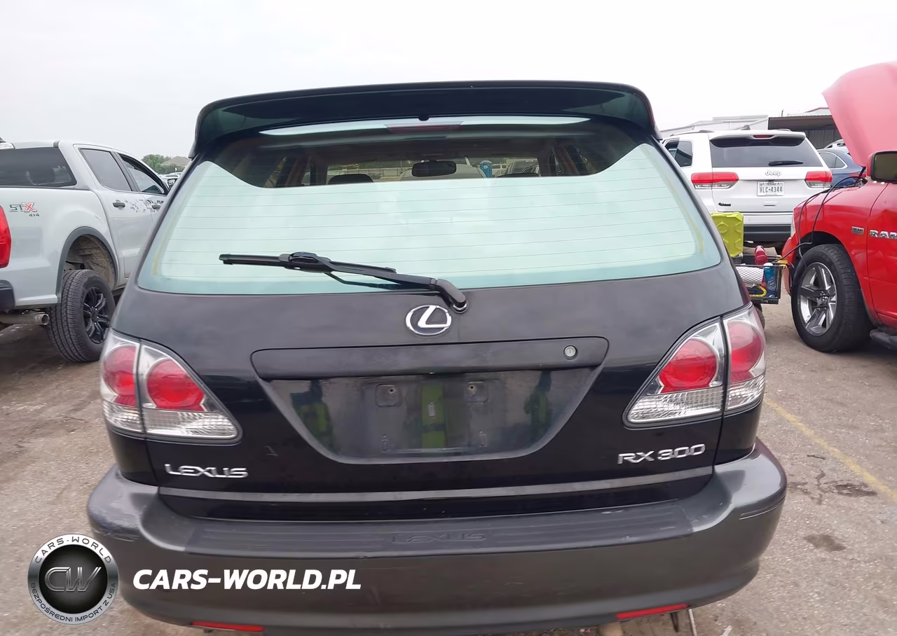 2001 Lexus Rx 300 VIN:JTJHF10U610191058 - 16