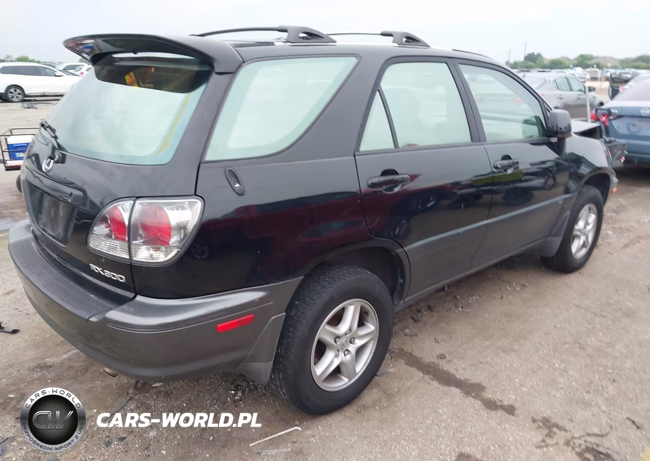 2001 Lexus Rx 300 VIN:JTJHF10U610191058 - 4