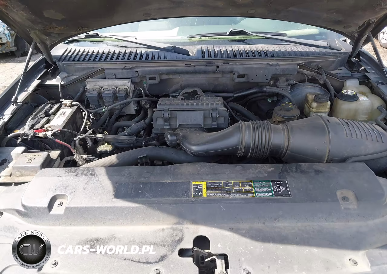 2005 Ford Expedition Eddie Bauer-King Ranch VIN:1FMPU175X5LA13981 - 10