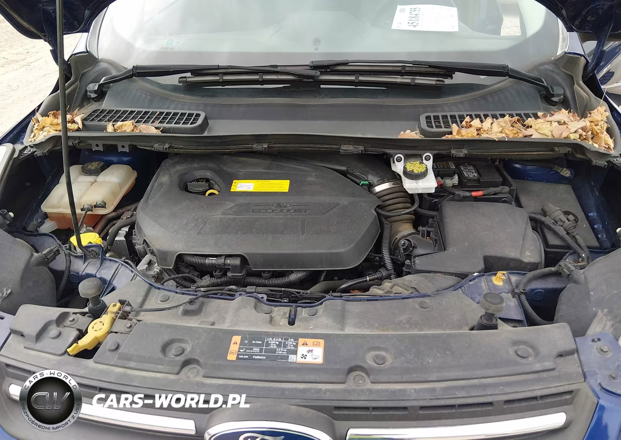 2016 Ford Escape Se VIN:1FMCU0GX0GUA93265 - 10