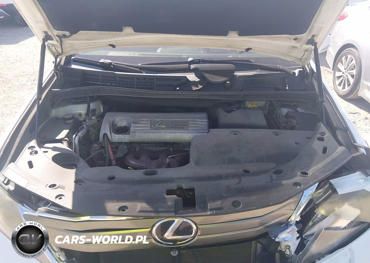 2010 Lexus Hs 250H Premium VIN:JTHBB1BA3A2020780 - 10