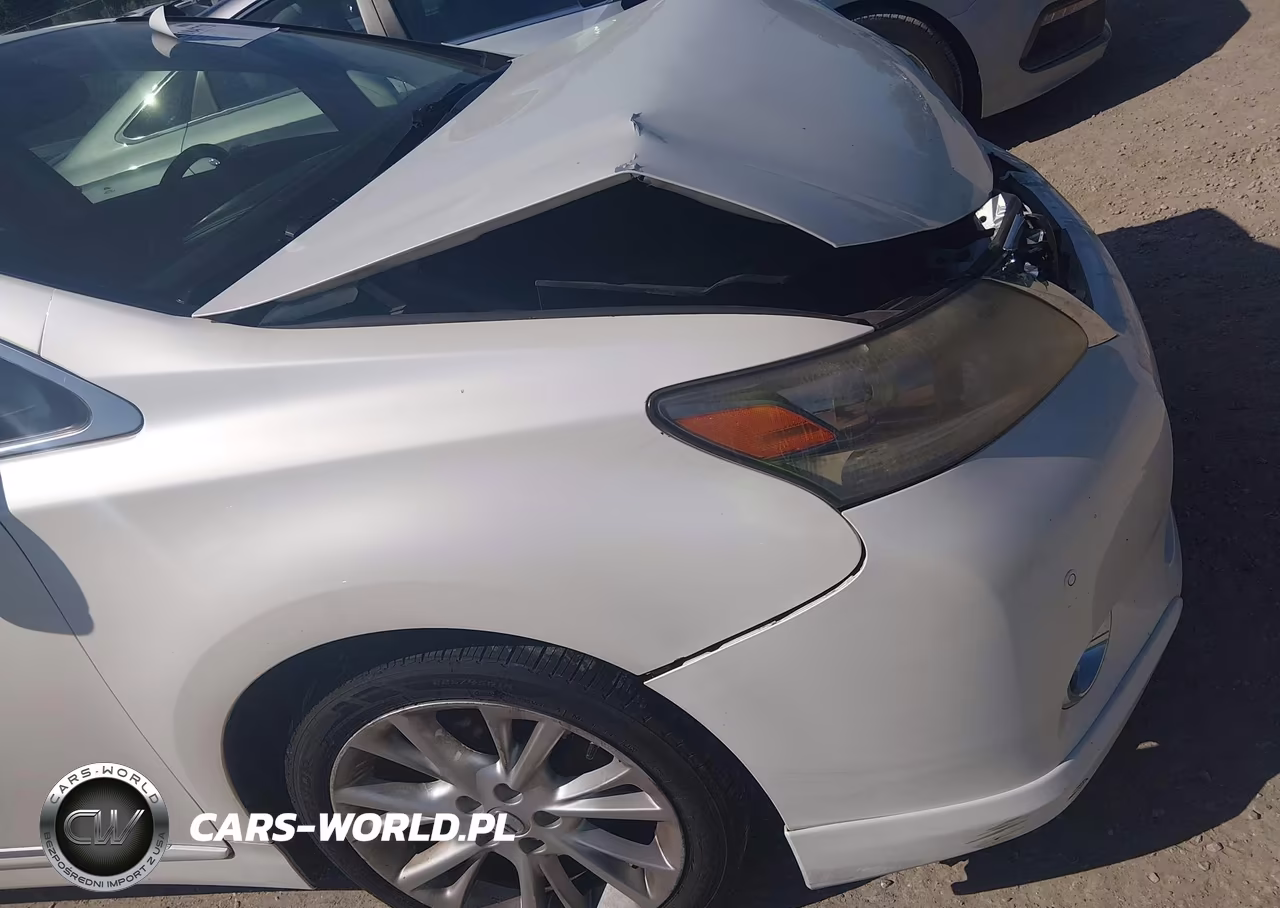 2010 Lexus Hs 250H Premium VIN:JTHBB1BA3A2020780 - 13