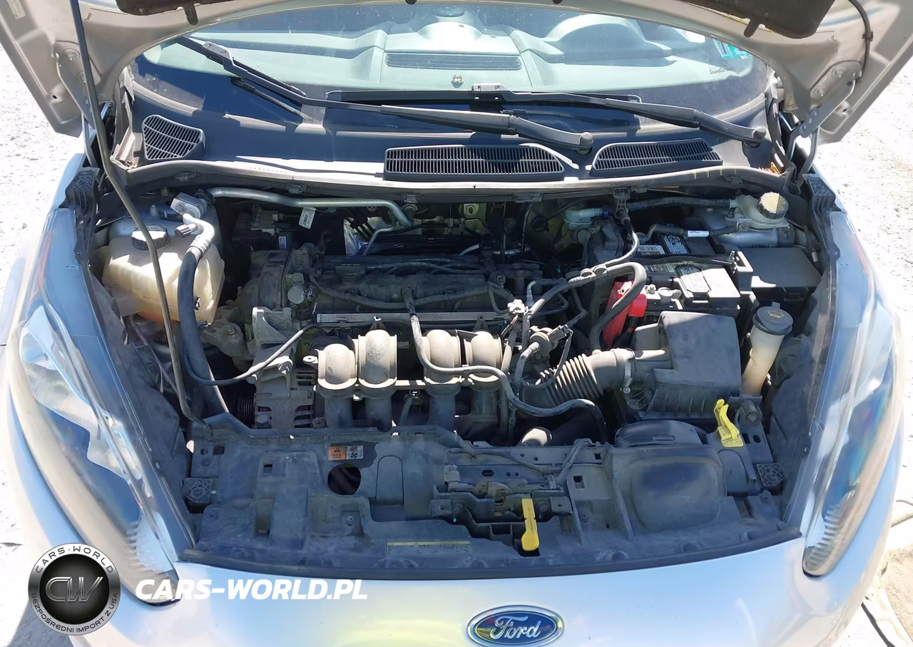 2014 Ford Fiesta Se VIN:3FADP4BJ5EM110532 - 10