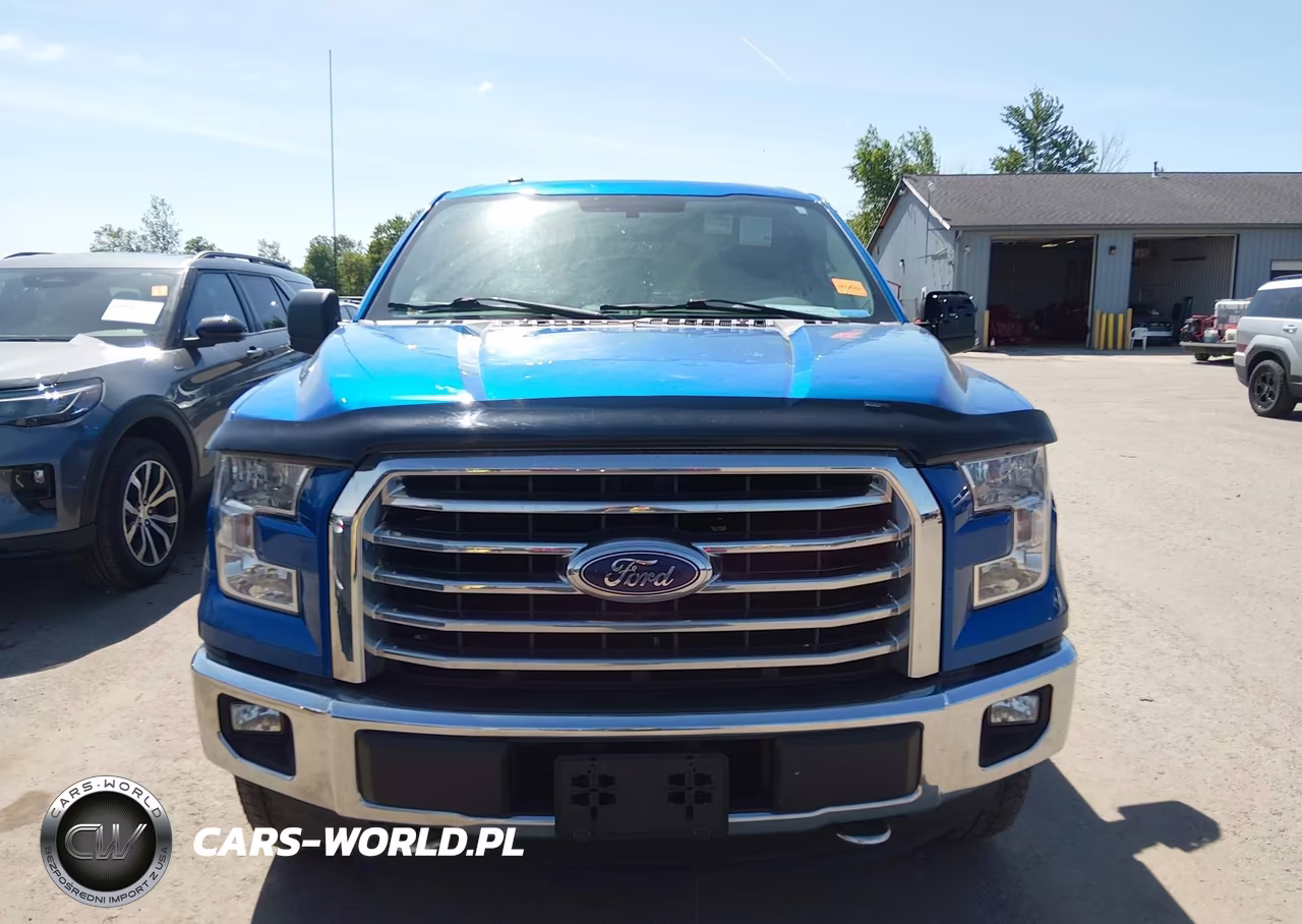 2015 Ford F-150 Xlt VIN:1FTEW1EP0FFC49257 - 12