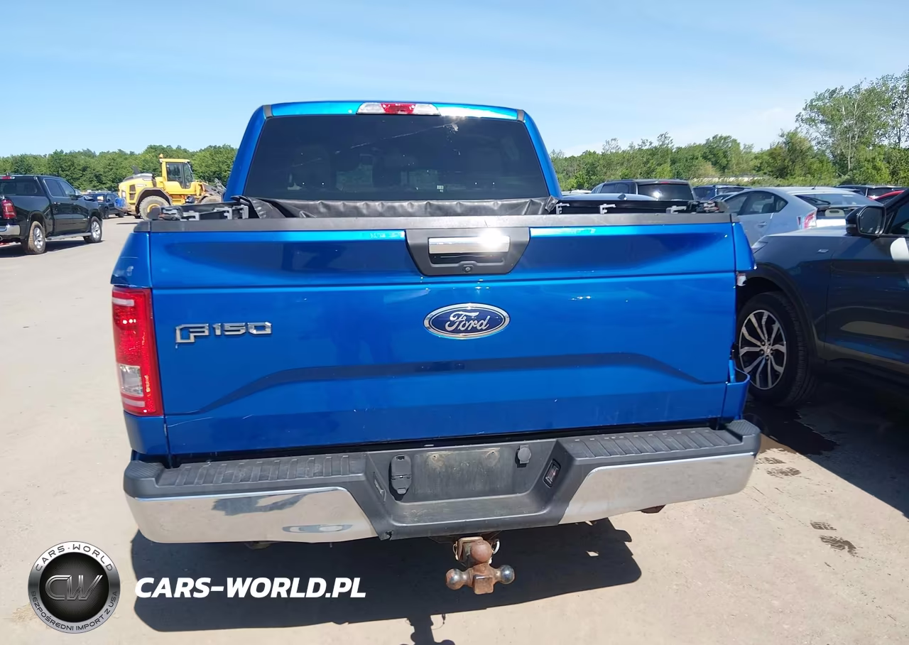 2015 Ford F-150 Xlt VIN:1FTEW1EP0FFC49257 - 16