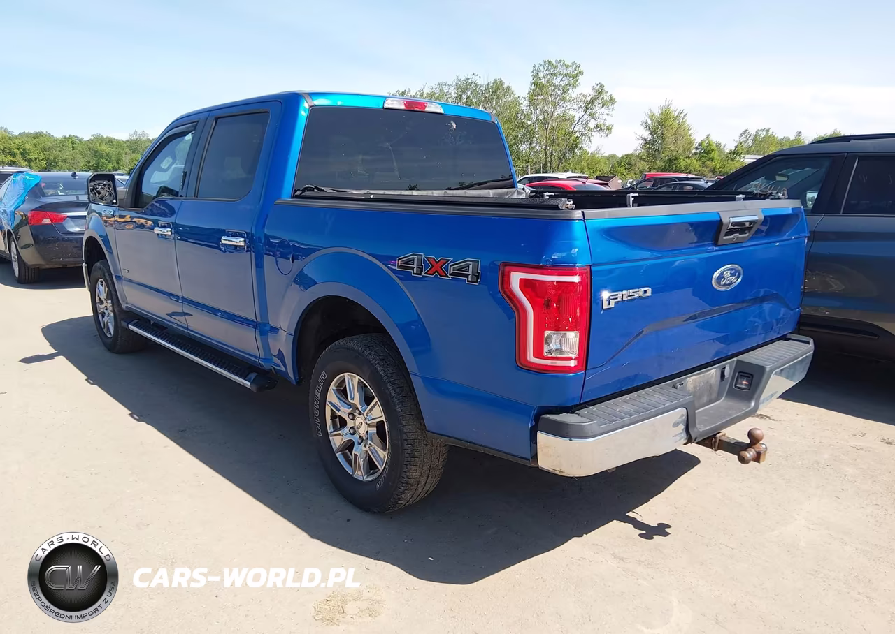 2015 Ford F-150 Xlt VIN:1FTEW1EP0FFC49257 - 3