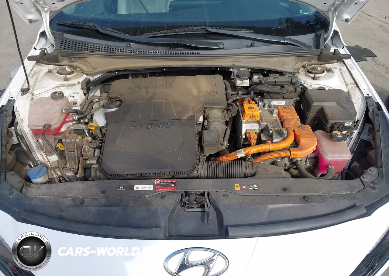 2021 Hyundai Elantra Hybrid Limited VIN:KMHLN4AJ5MU007940 - 10