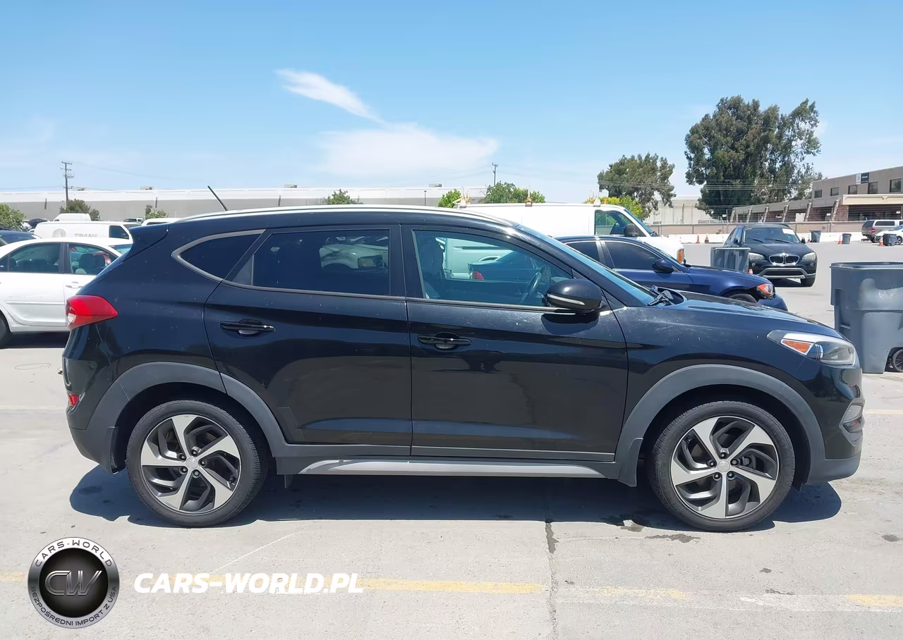 2017 Hyundai Tucson Sport VIN:KM8J33A21HU371651 - 13