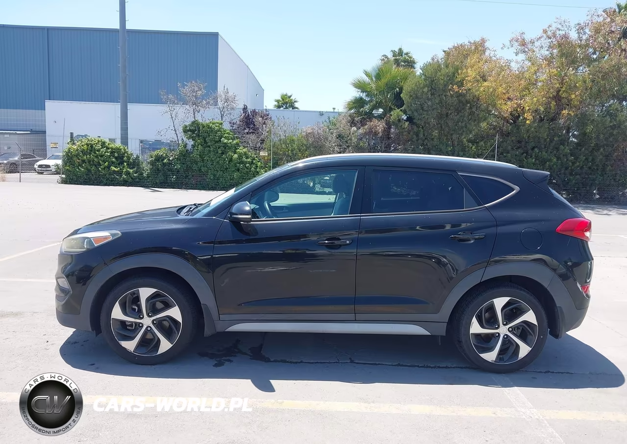 2017 Hyundai Tucson Sport VIN:KM8J33A21HU371651 - 14