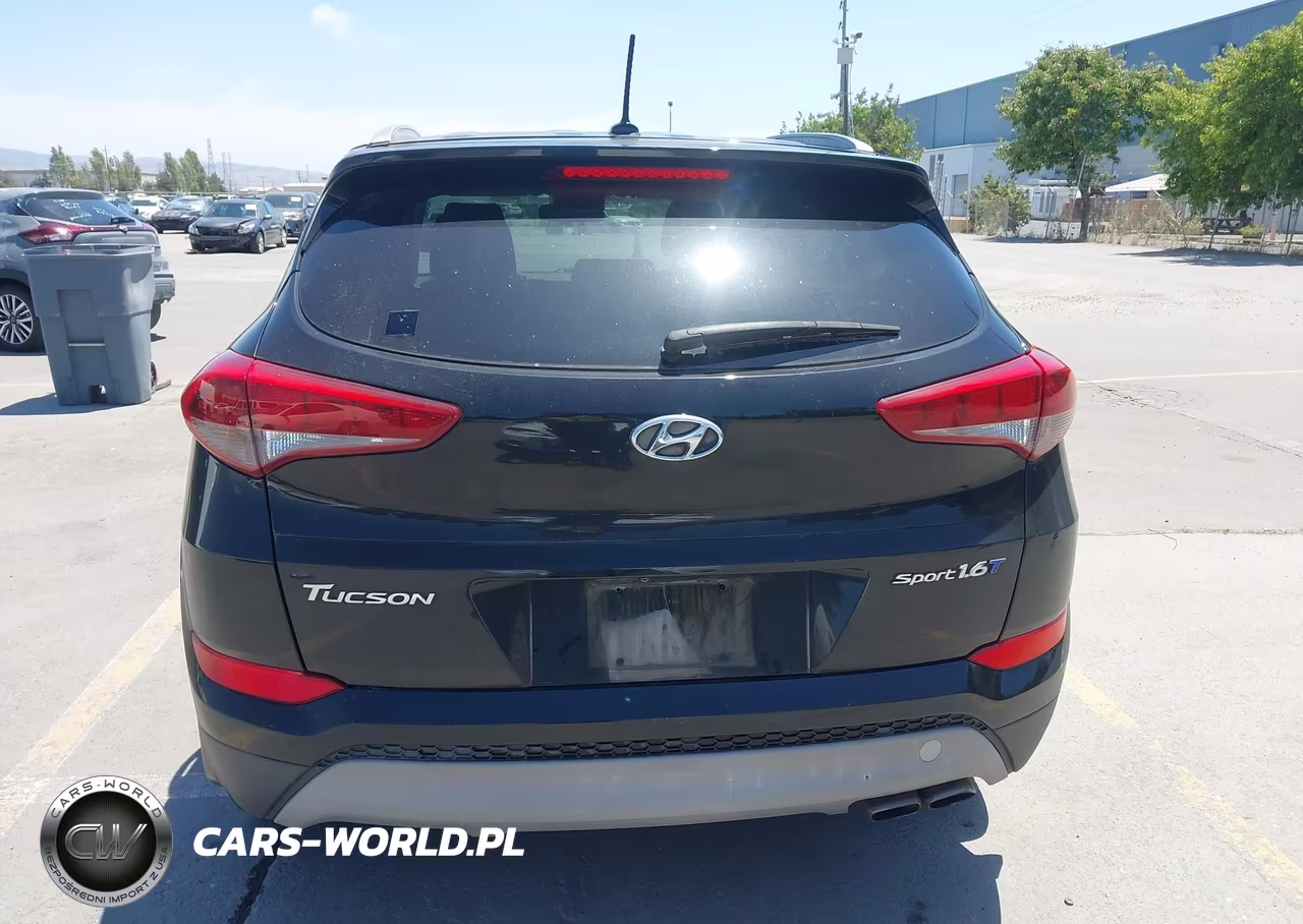 2017 Hyundai Tucson Sport VIN:KM8J33A21HU371651 - 16