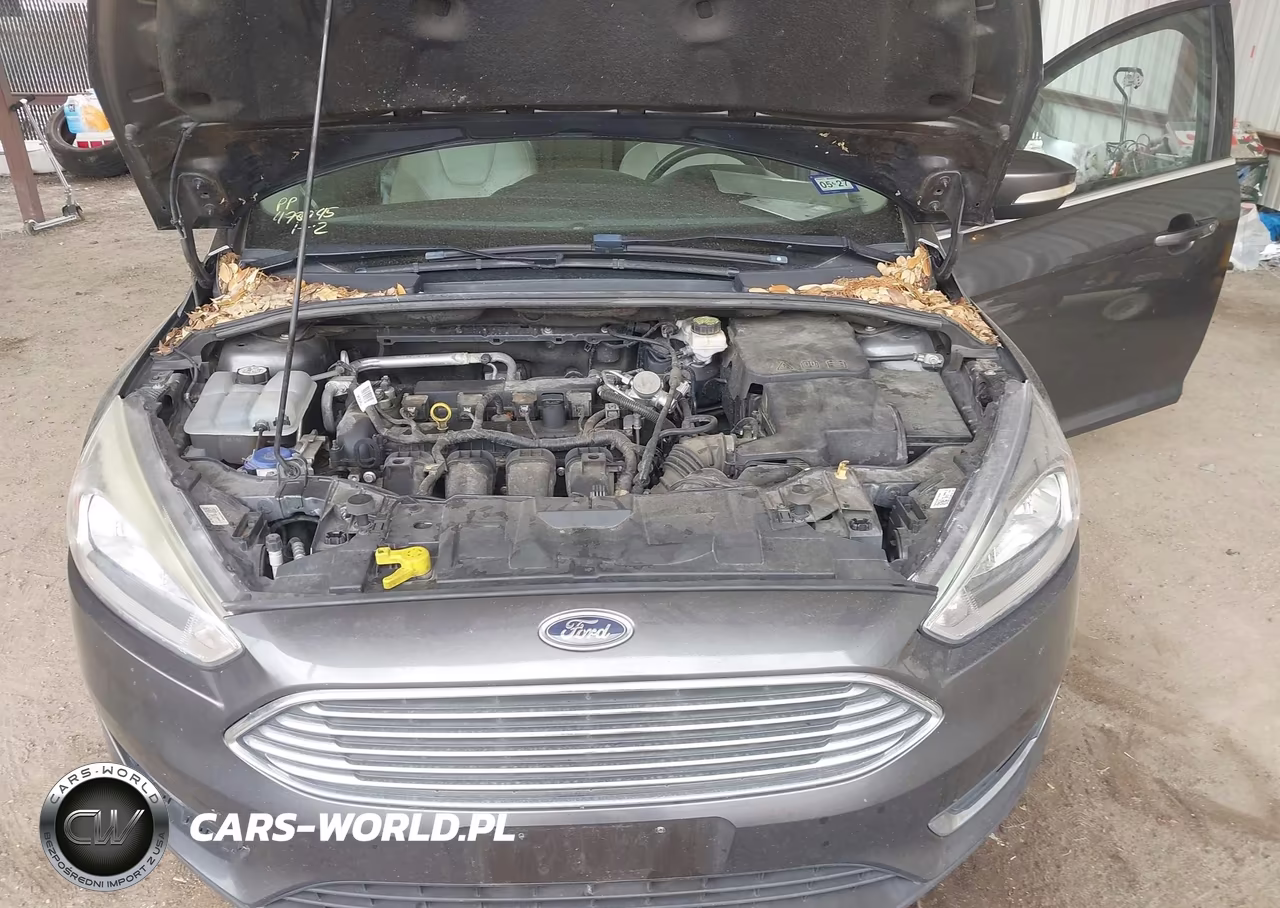 2018 Ford Focus Titanium VIN:1FADP3J29JL273586 - 10