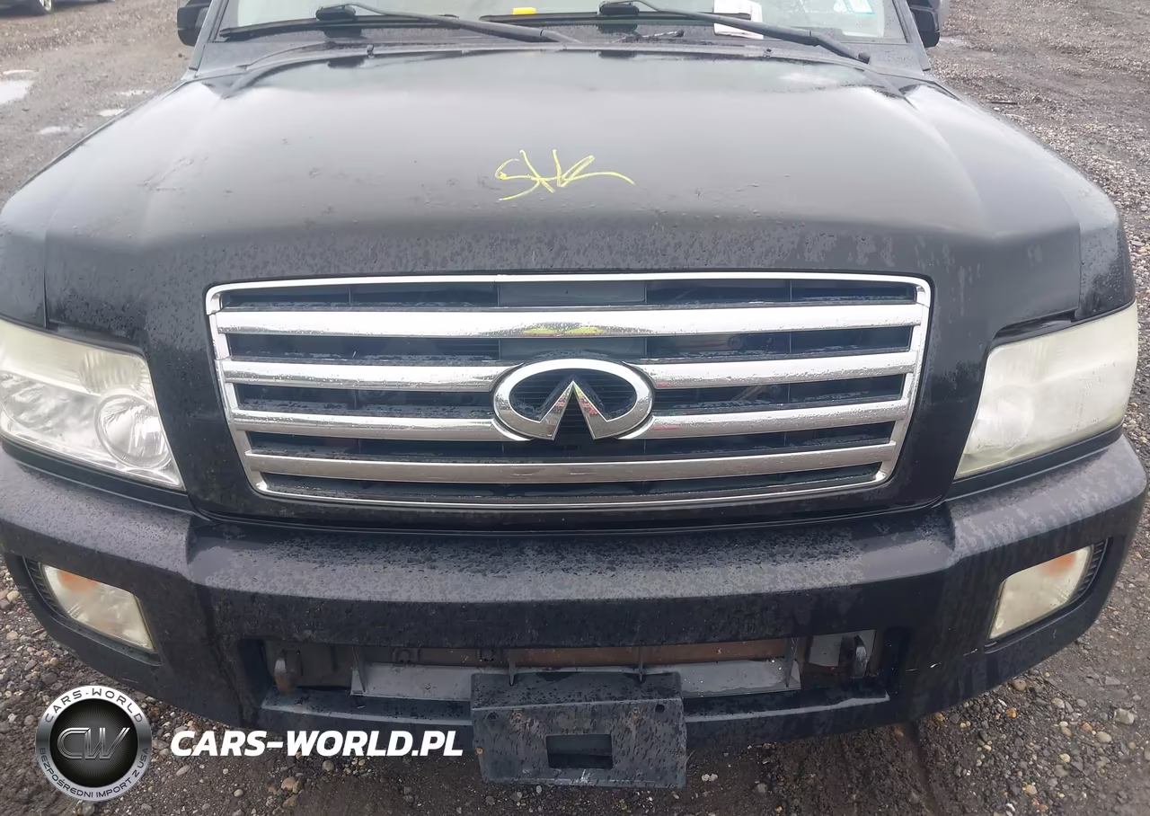 2004 Infiniti Qx56 VIN:5N3AA08C44N805947 - 10