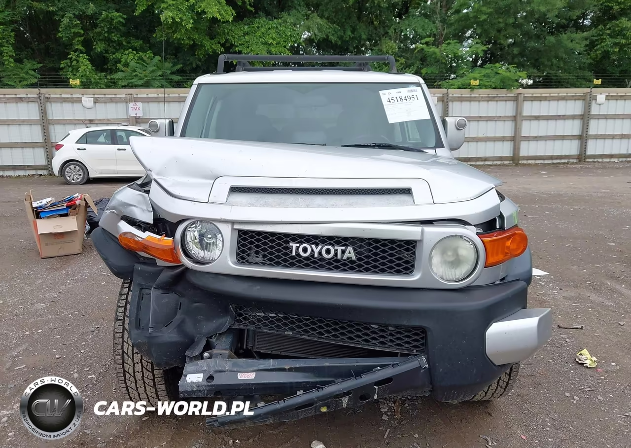 2007 Toyota Fj Cruiser VIN:JTEZU11F570014342 - 12