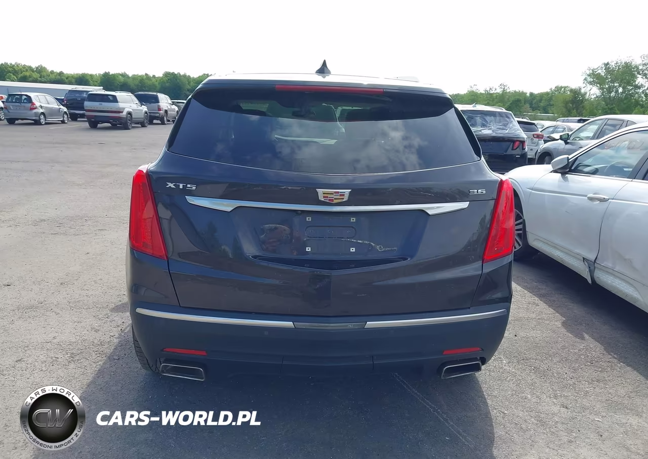 2019 Cadillac Xt5 Luxury VIN:1GYKNCRS5KZ102757 - 16