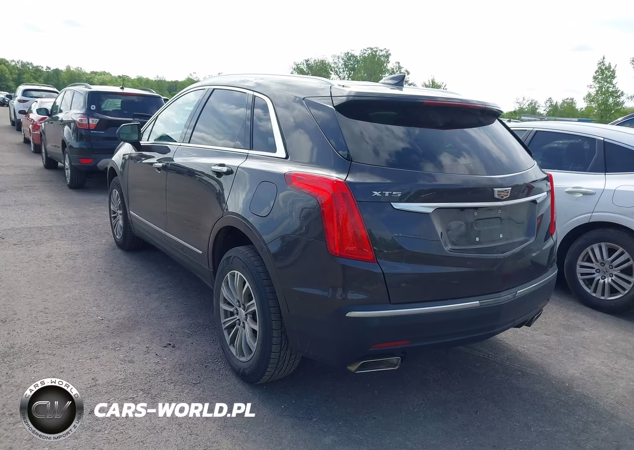 2019 Cadillac Xt5 Luxury VIN:1GYKNCRS5KZ102757 - 3