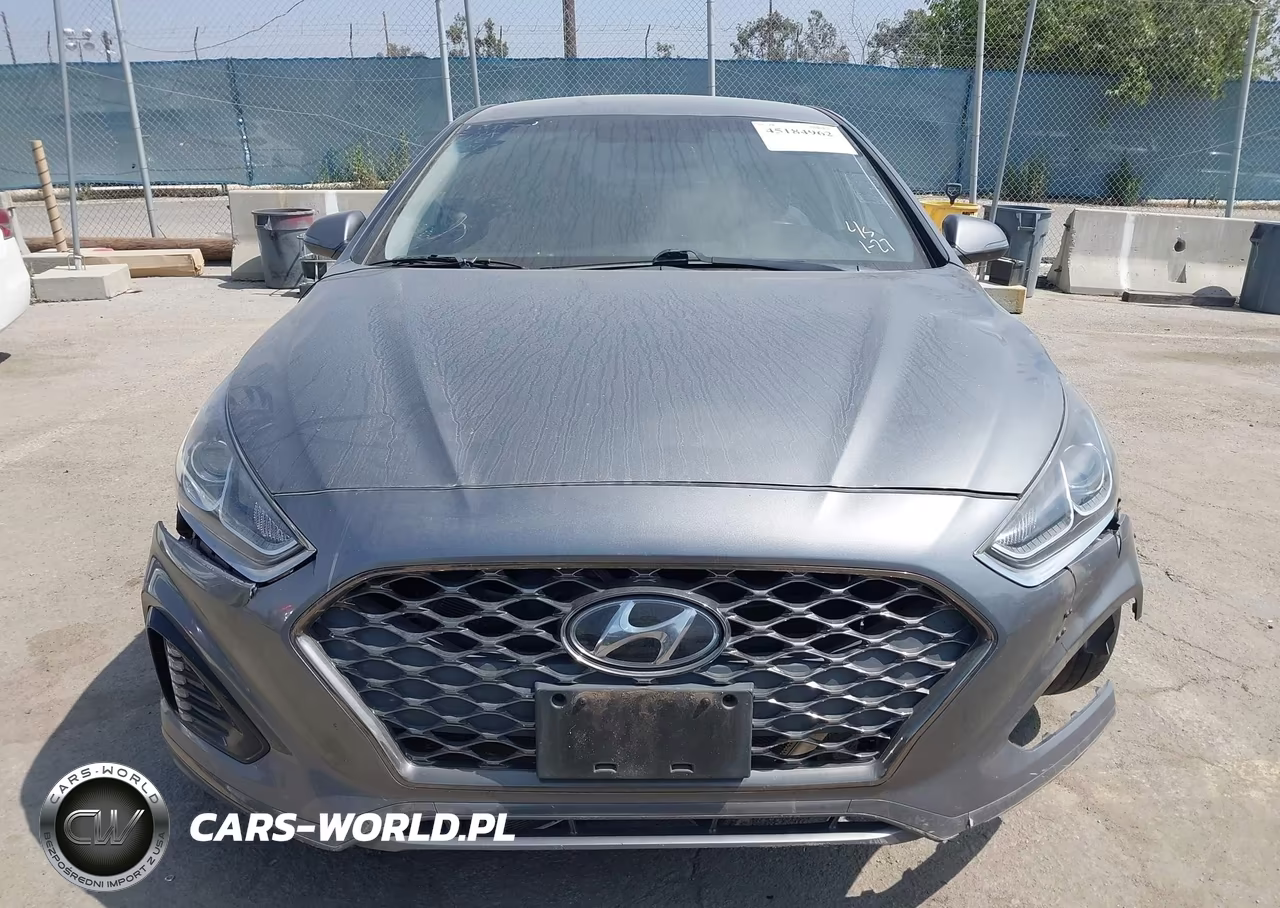 2019 Hyundai Sonata Sel VIN:5NPE34AF8KH753045 - 12