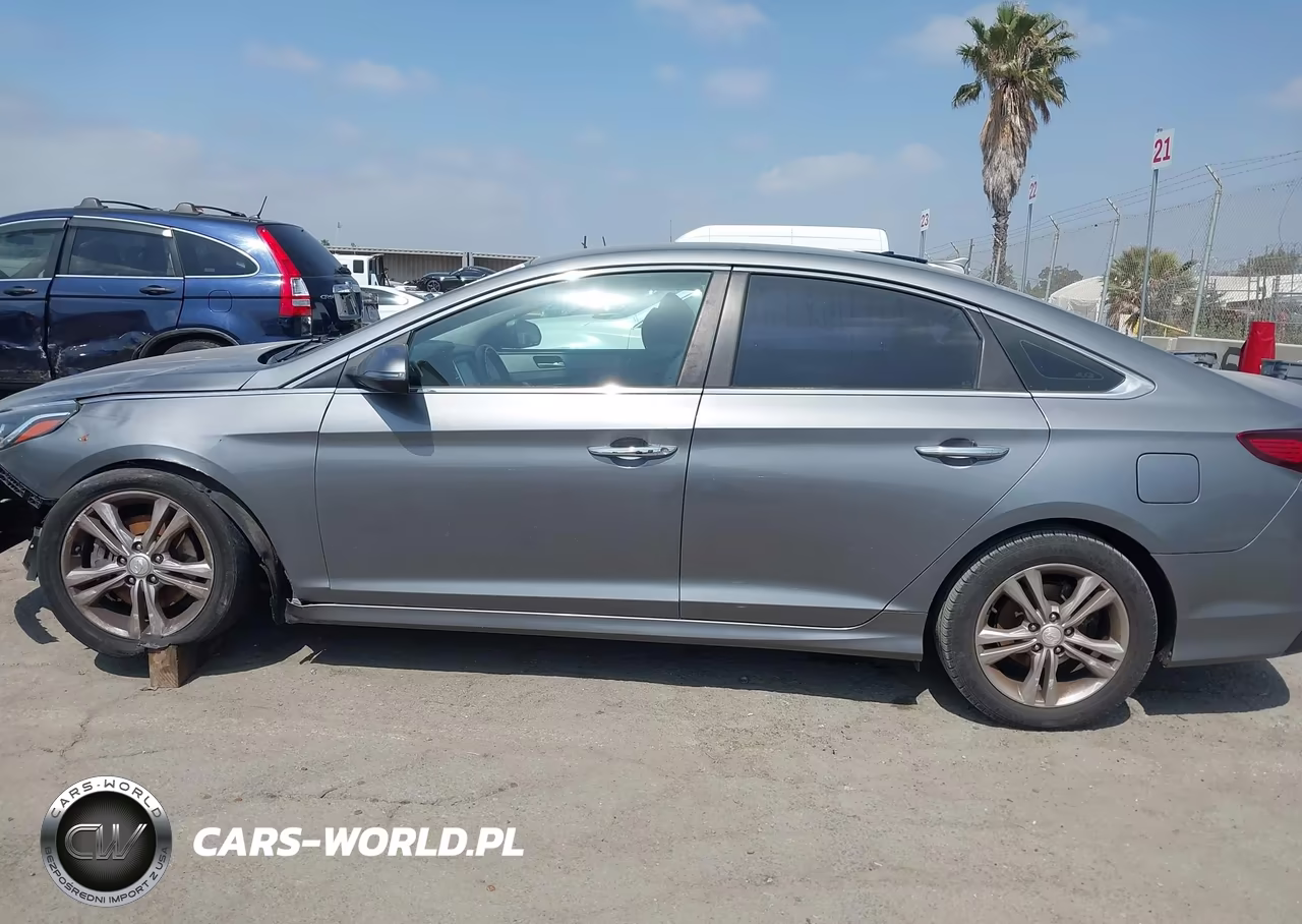 2019 Hyundai Sonata Sel VIN:5NPE34AF8KH753045 - 14