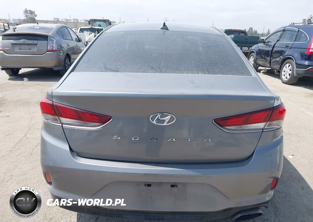 2019 Hyundai Sonata Sel VIN:5NPE34AF8KH753045 - 16