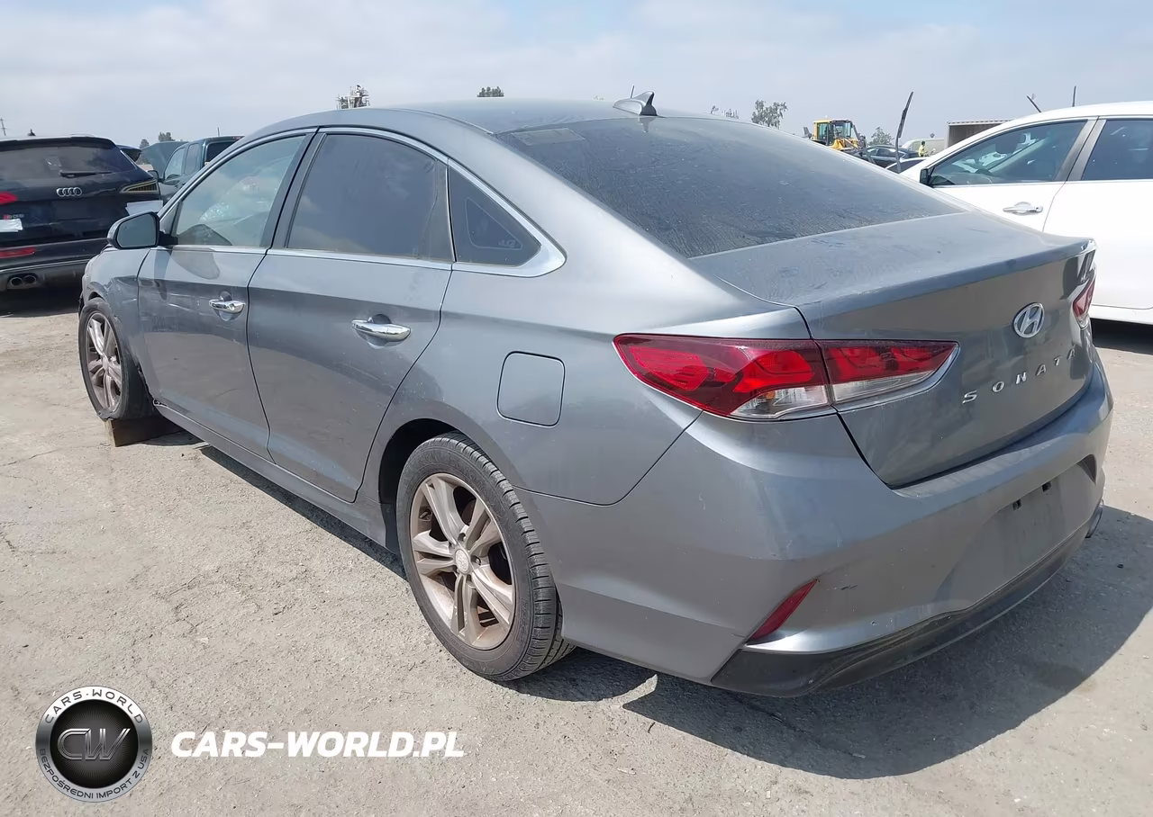 2019 Hyundai Sonata Sel VIN:5NPE34AF8KH753045 - 3