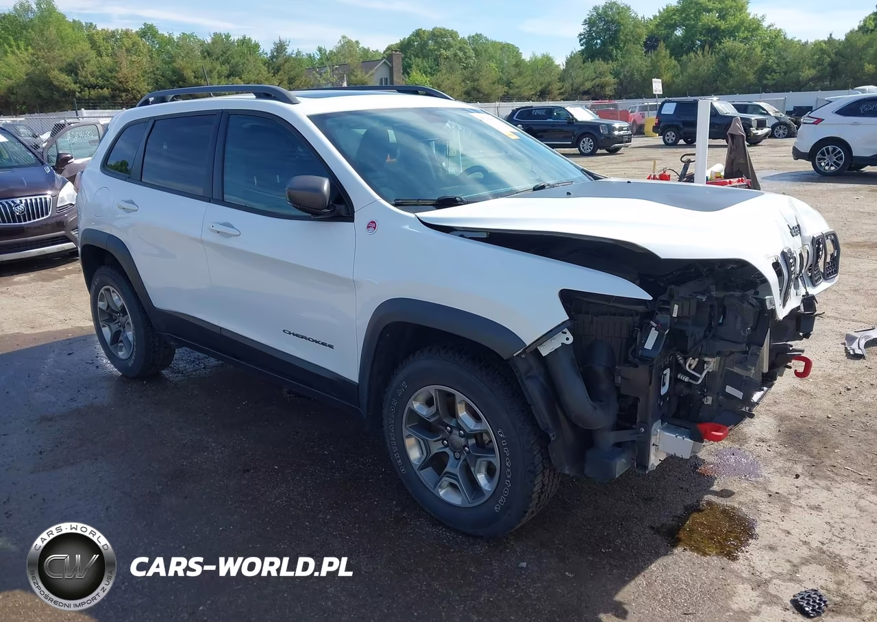 2019 Jeep Cherokee Trailhawk 4X4 – zdjęcie 1 z 17