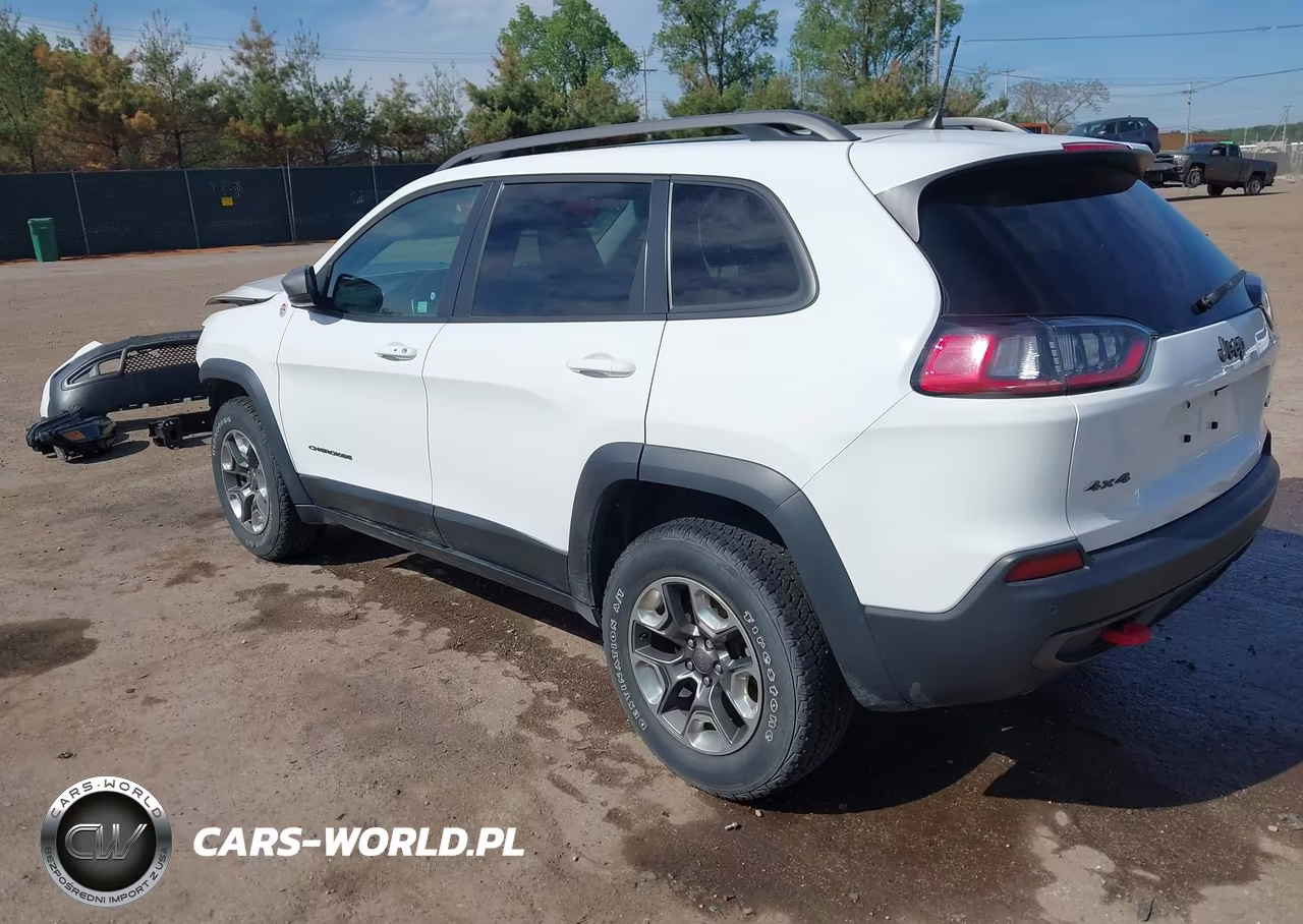 2019 Jeep Cherokee Trailhawk 4X4 VIN:1C4PJMBX9KD384823 - 3