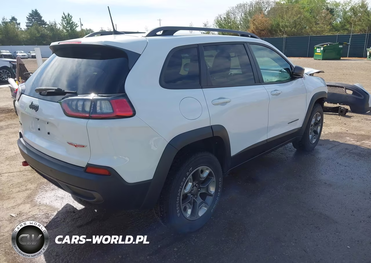 2019 Jeep Cherokee Trailhawk 4X4 VIN:1C4PJMBX9KD384823 - 4