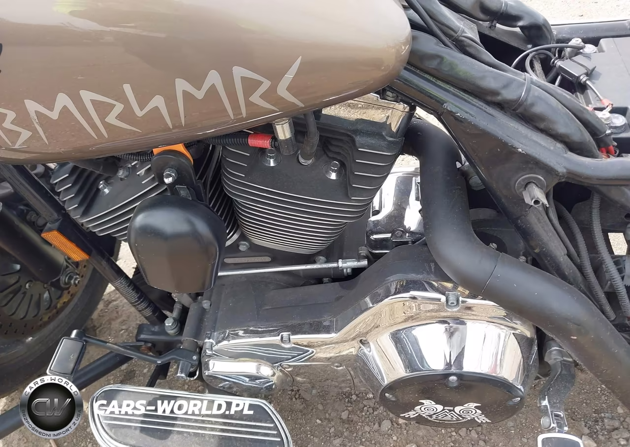 2004 Harley-Davidson Flhrsi VIN:1HD1FYW144Y728461 - 9