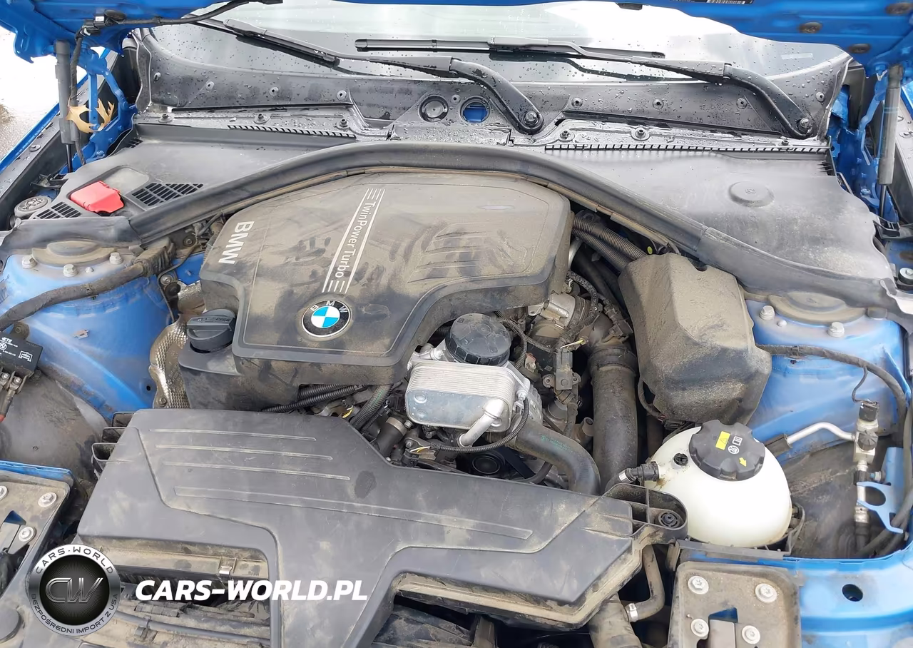 2015 BMW 228I VIN:WBA1F5C52FV257189 - 10