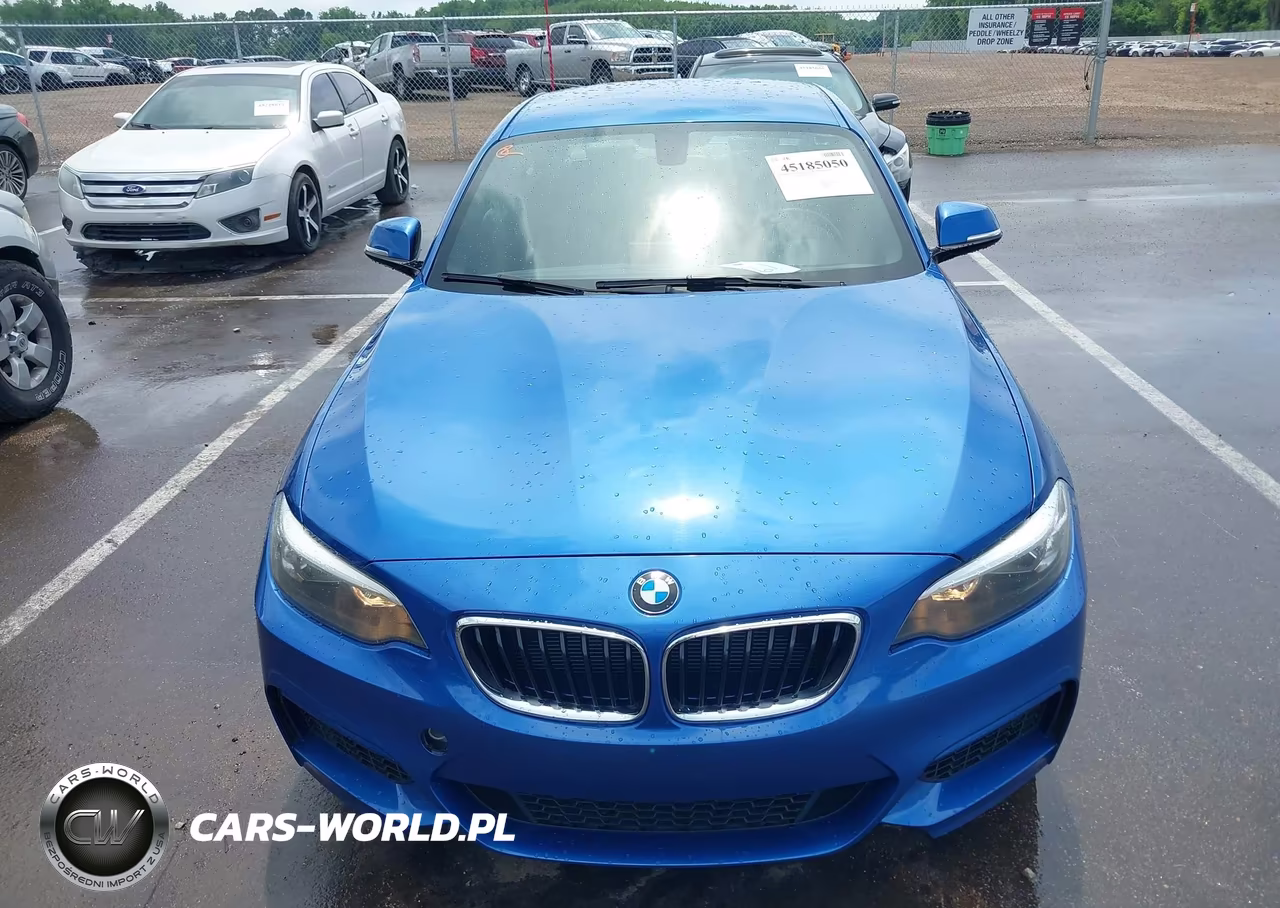 2015 BMW 228I VIN:WBA1F5C52FV257189 - 12