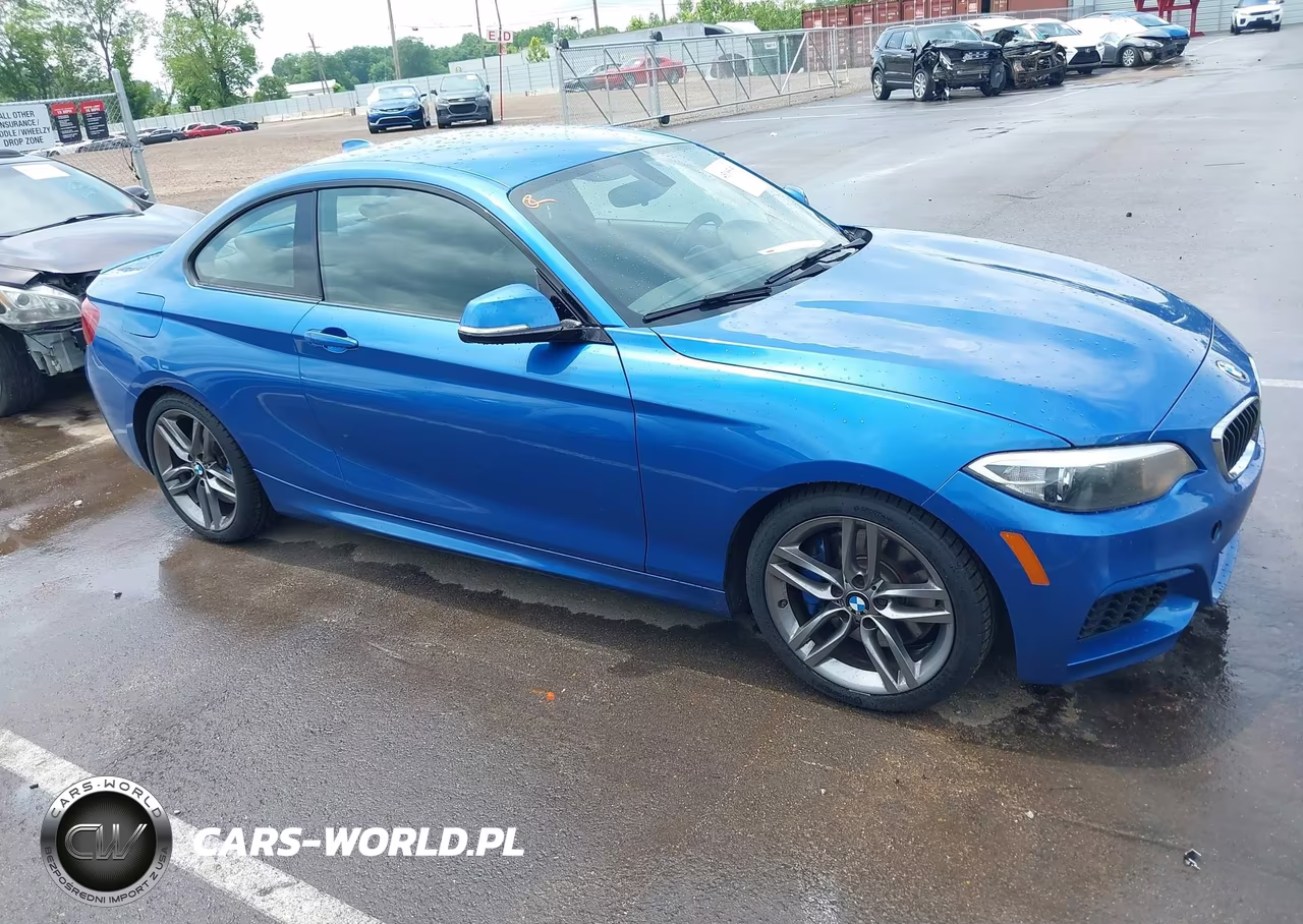 2015 BMW 228I VIN:WBA1F5C52FV257189 - 13