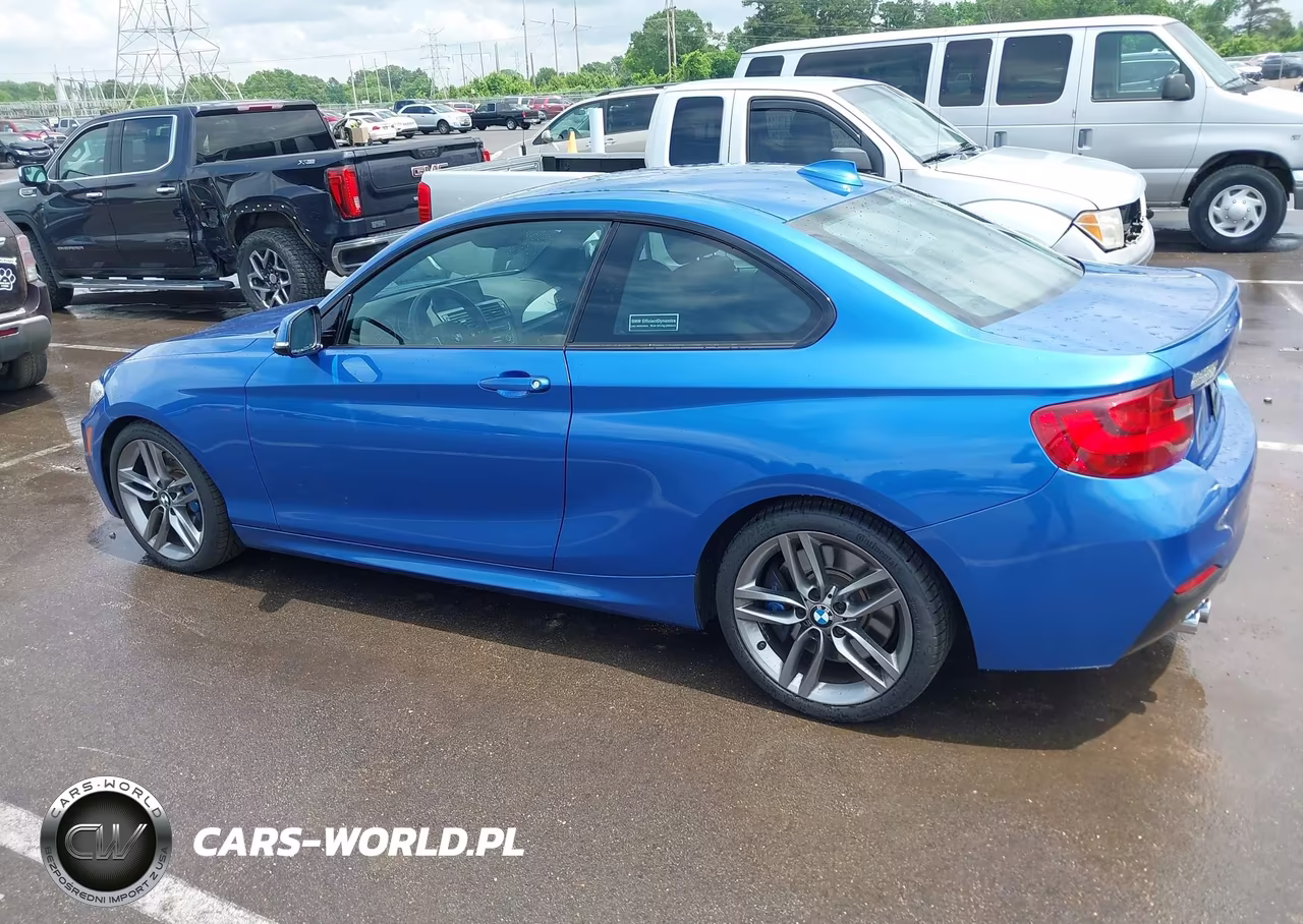 2015 BMW 228I VIN:WBA1F5C52FV257189 - 14
