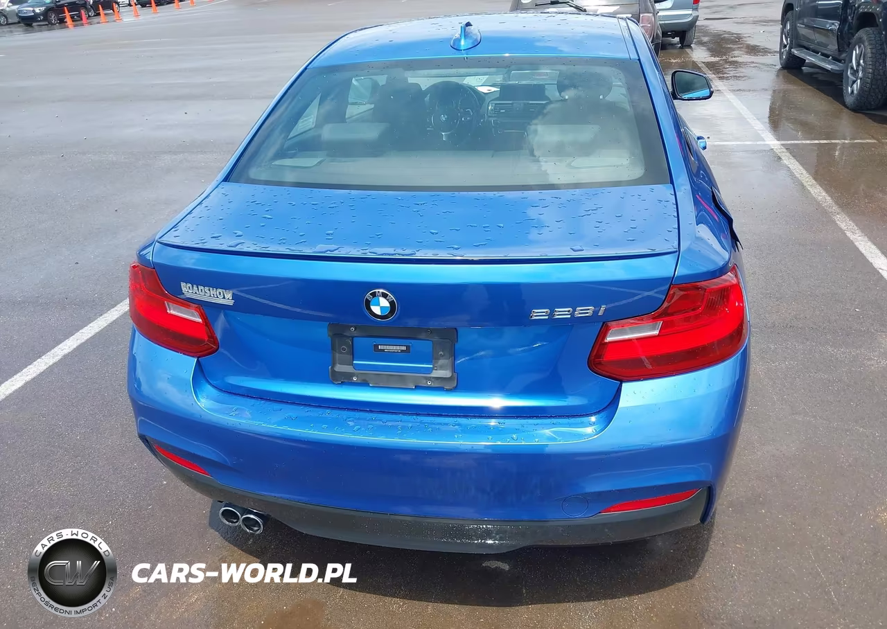2015 BMW 228I VIN:WBA1F5C52FV257189 - 16