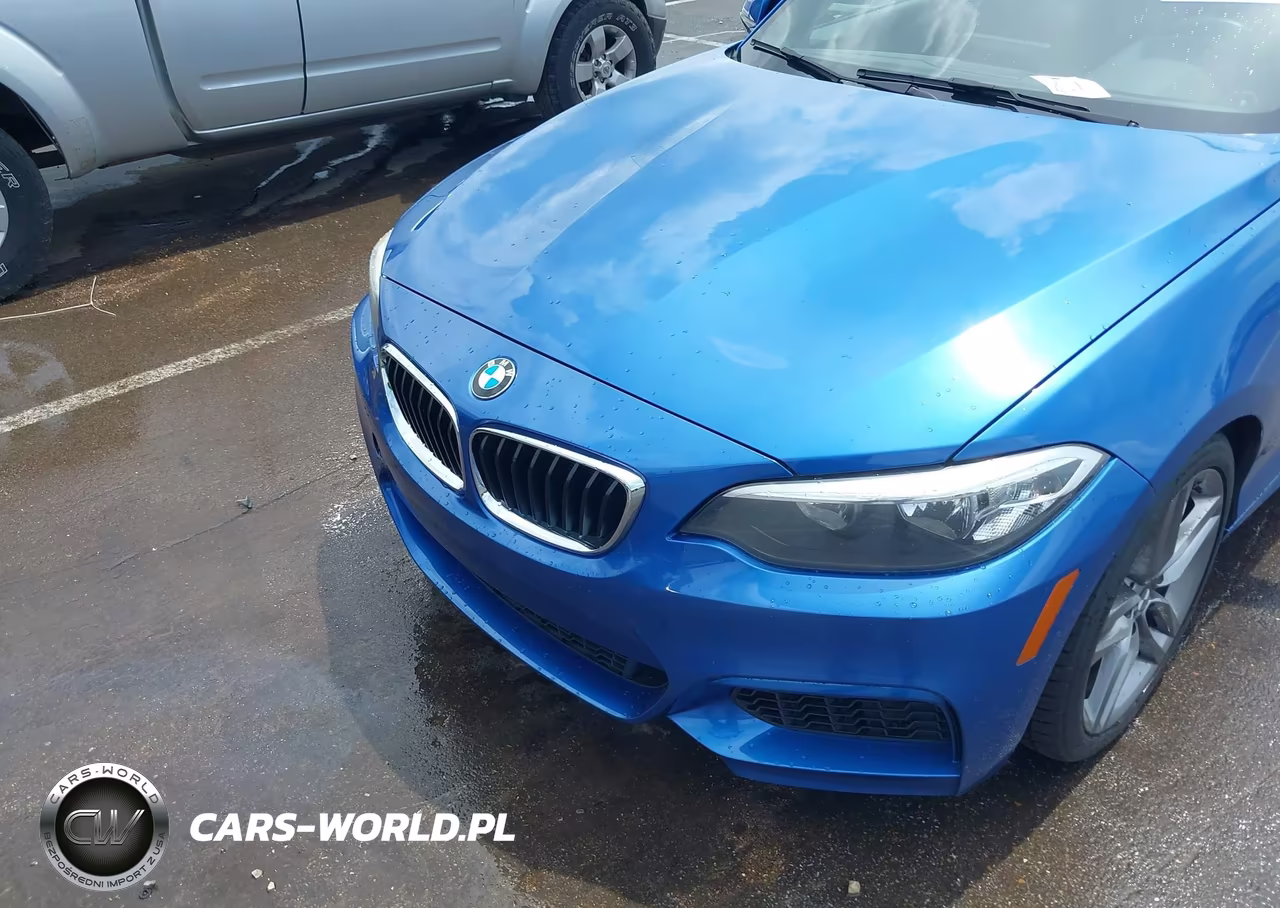 2015 BMW 228I VIN:WBA1F5C52FV257189 - 17