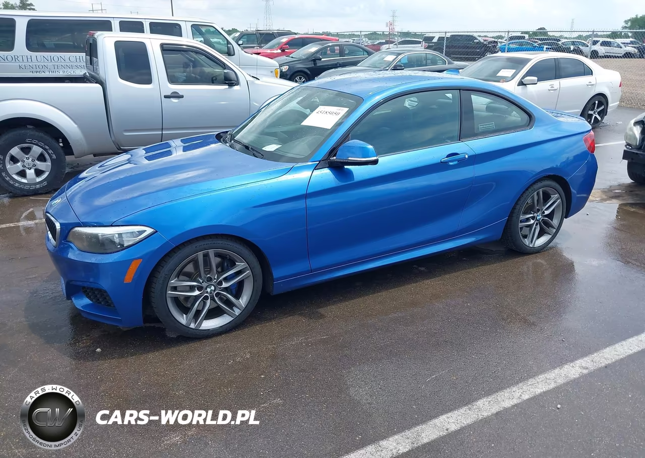 2015 BMW 228I VIN:WBA1F5C52FV257189 - 2