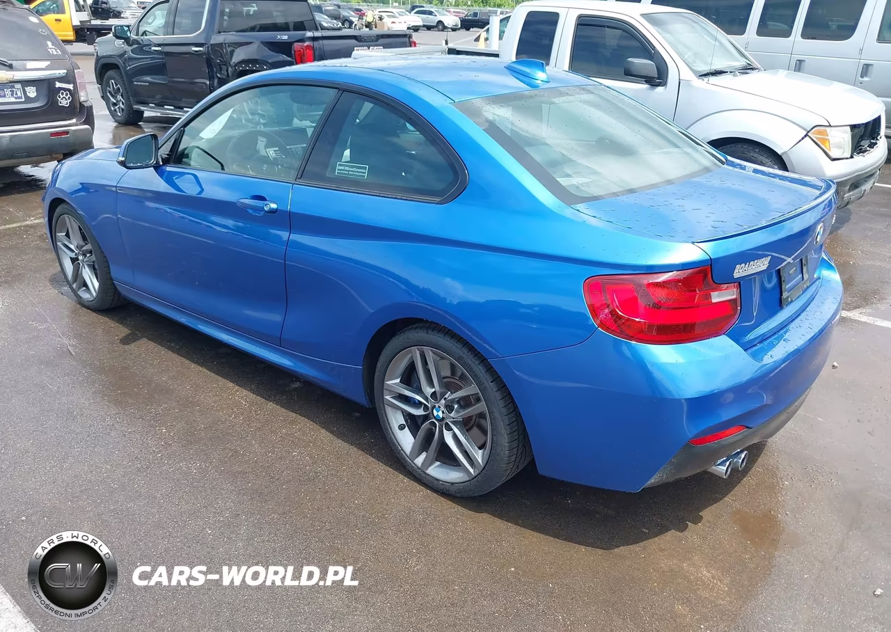2015 BMW 228I VIN:WBA1F5C52FV257189 - 3