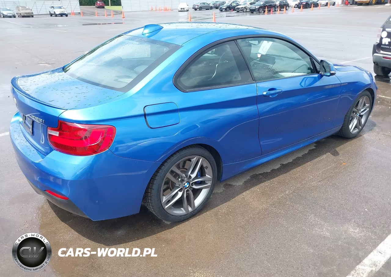 2015 BMW 228I VIN:WBA1F5C52FV257189 - 4