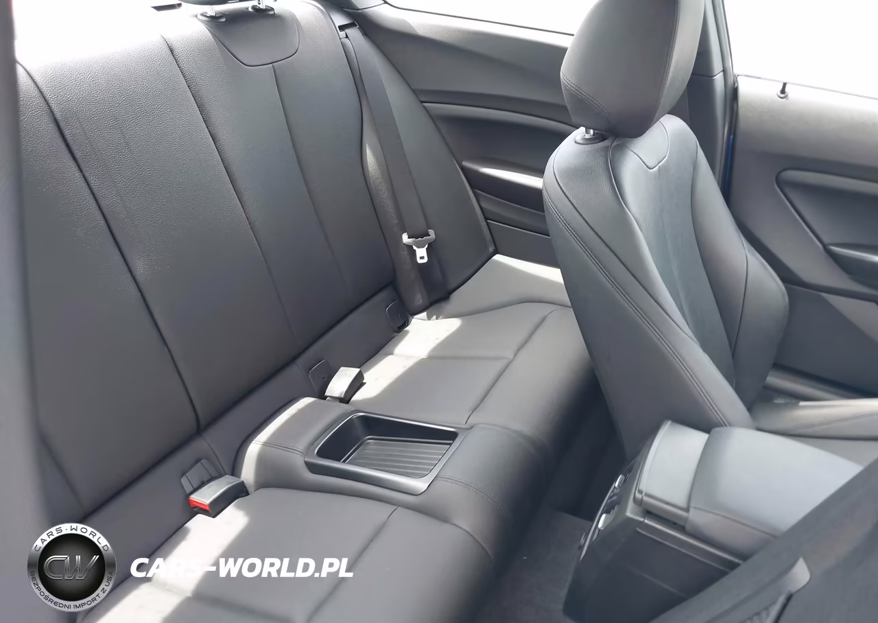 2015 BMW 228I VIN:WBA1F5C52FV257189 - 8