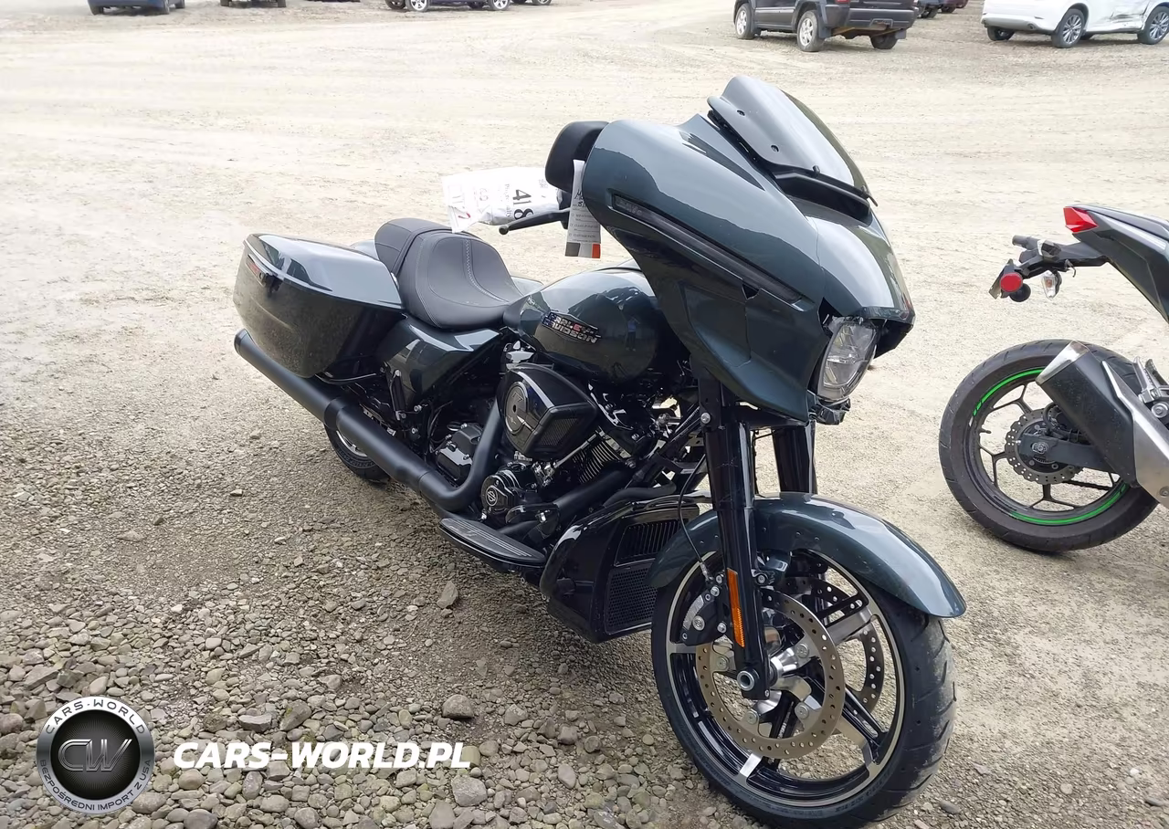 2025 Harley-Davidson Flhx