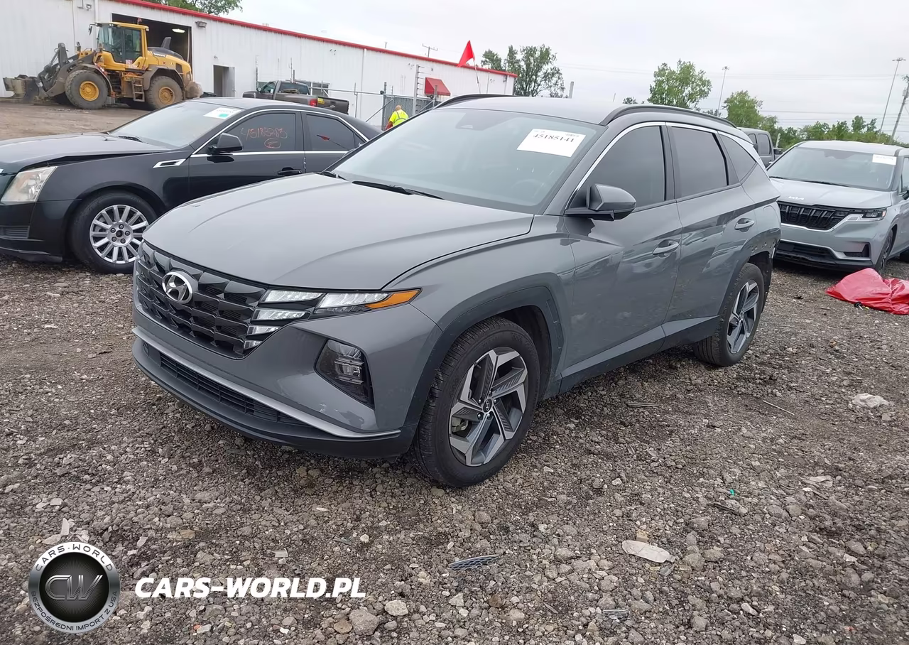 2024 Hyundai Tucson Sel VIN:5NMJB3DE4RH427877 - 2