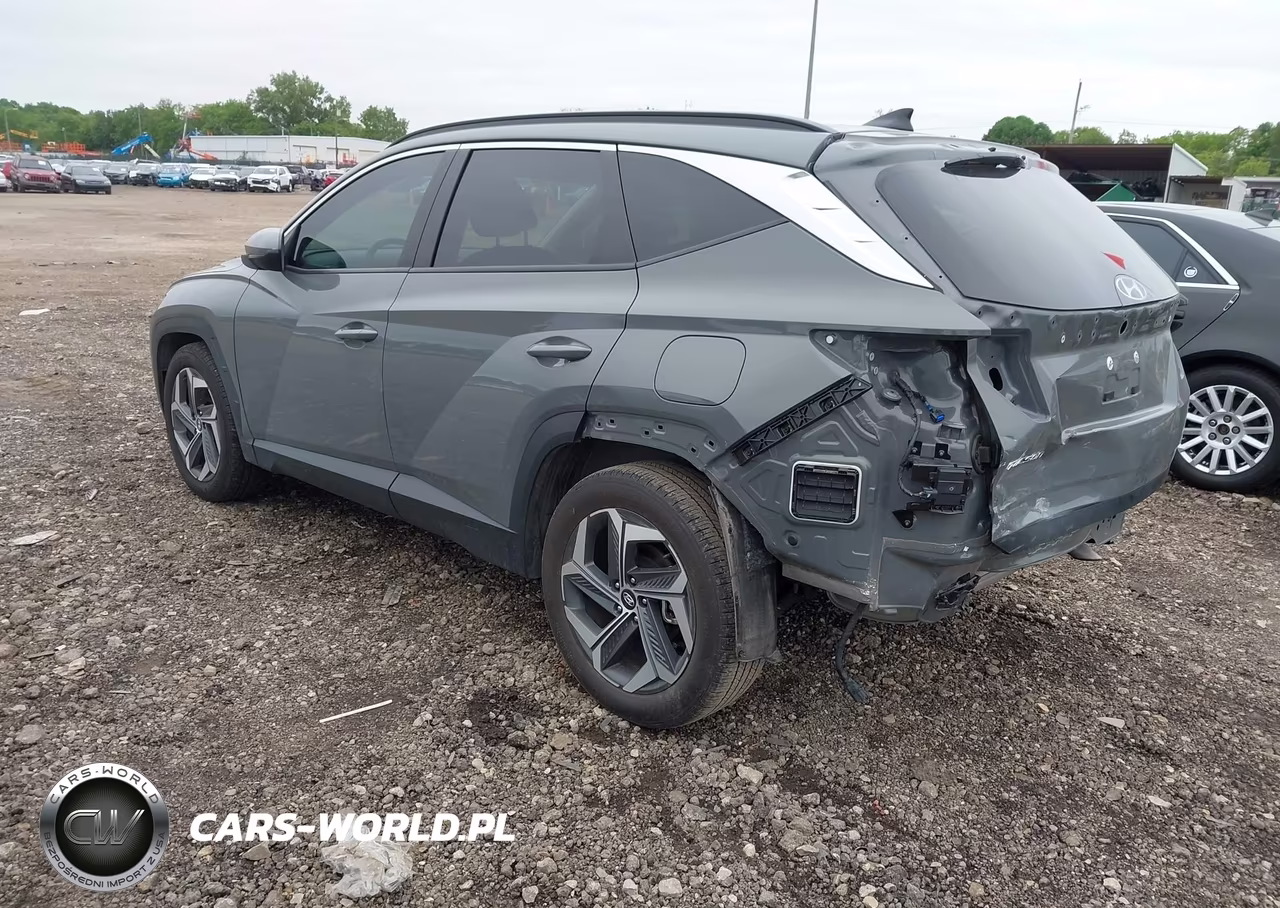 2024 Hyundai Tucson Sel VIN:5NMJB3DE4RH427877 - 3