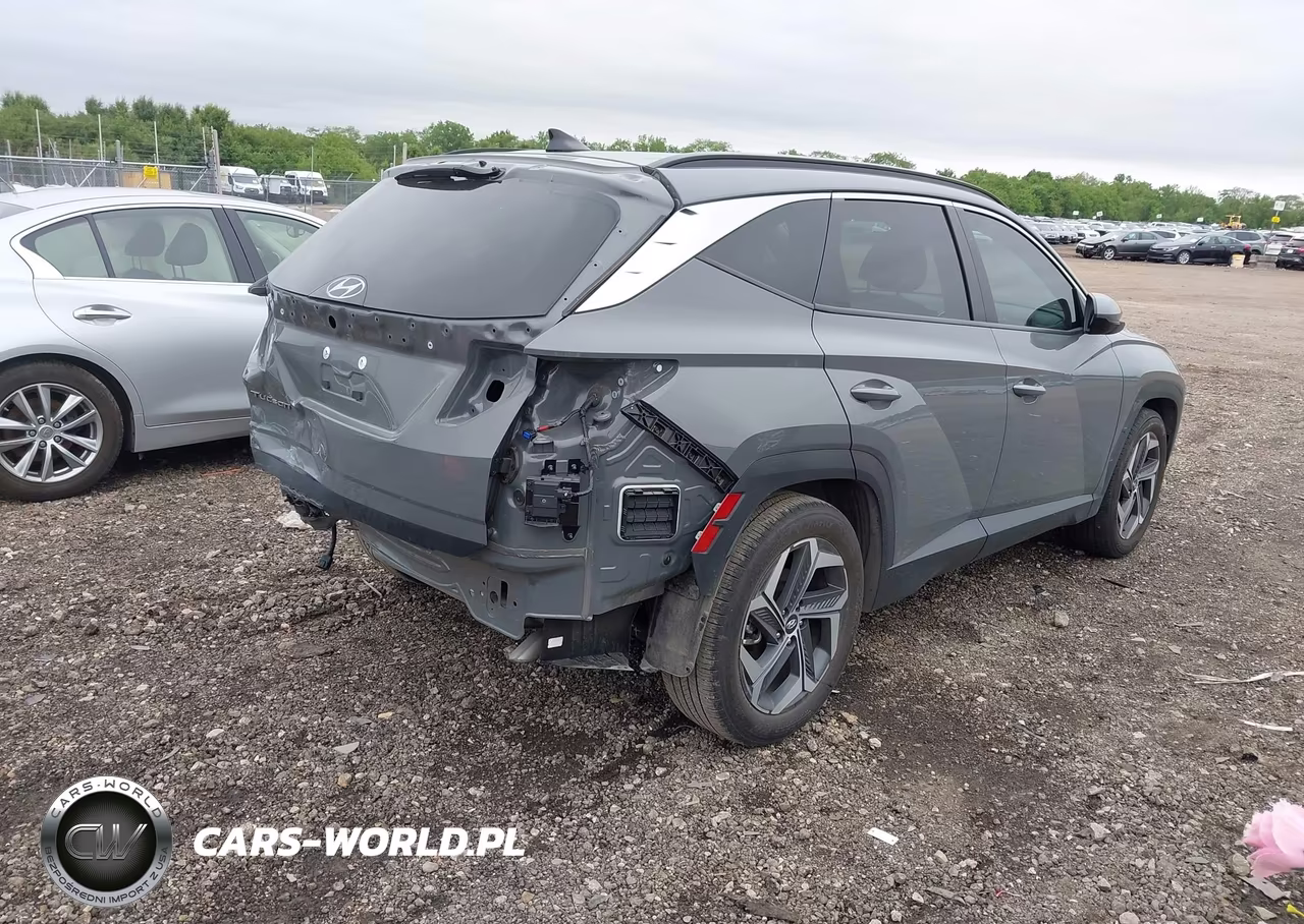 2024 Hyundai Tucson Sel VIN:5NMJB3DE4RH427877 - 4