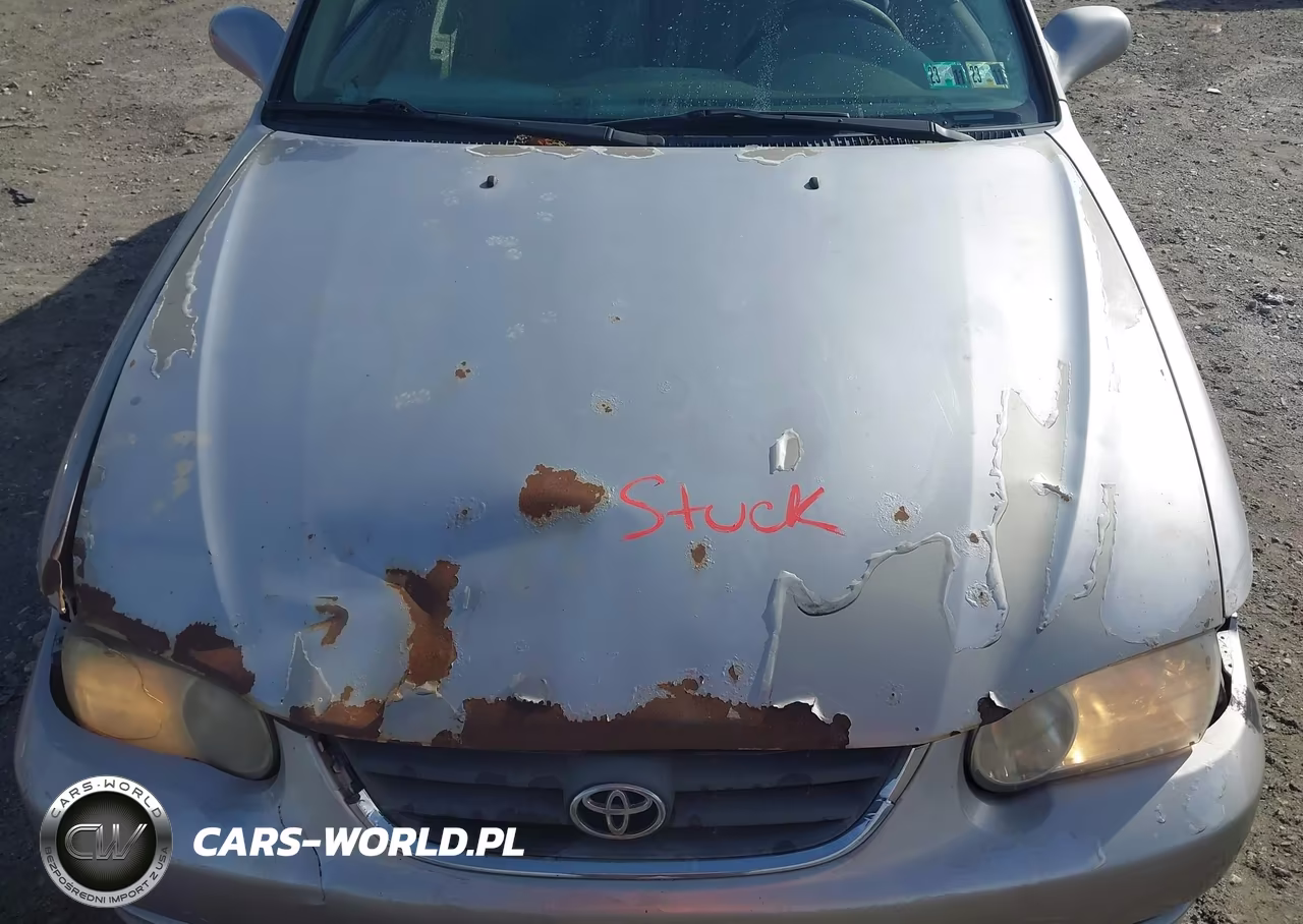2001 Toyota Corolla Le VIN:2T1BR12E61C509448 - 10