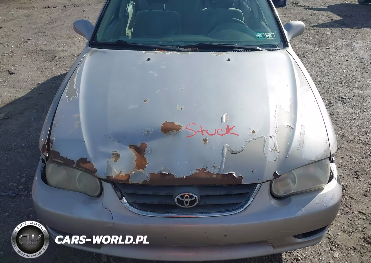 2001 Toyota Corolla Le VIN:2T1BR12E61C509448 - 6