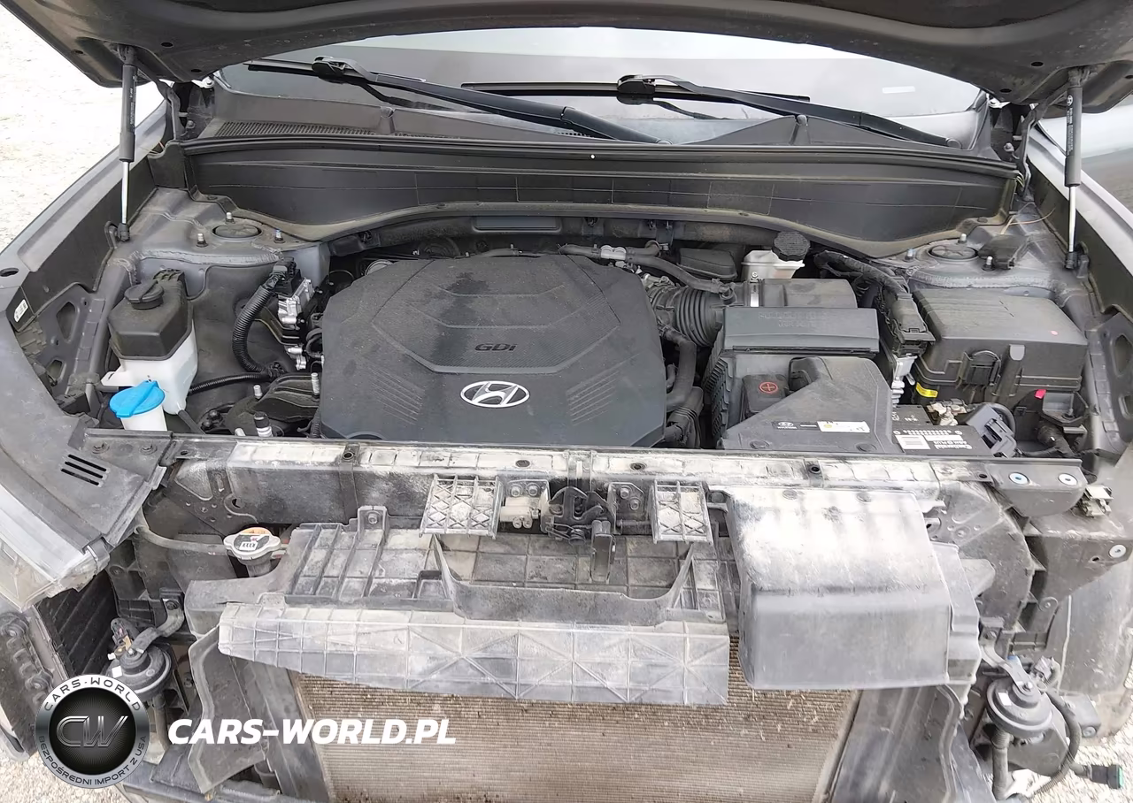 2021 Hyundai Palisade Sel VIN:KM8R34HE8MU181087 - 10