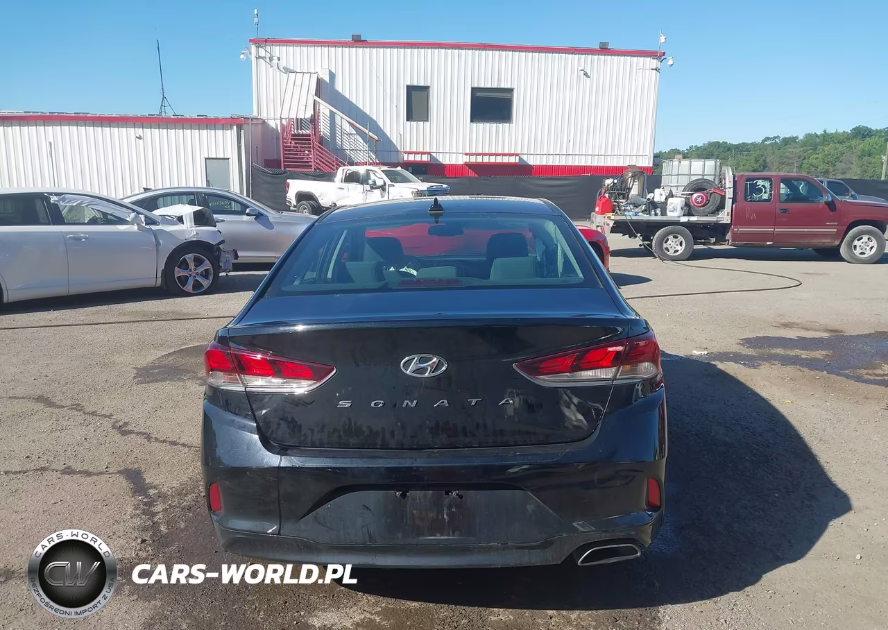 2019 Hyundai Sonata Sel VIN:5NPE34AF7KH748791 - 17