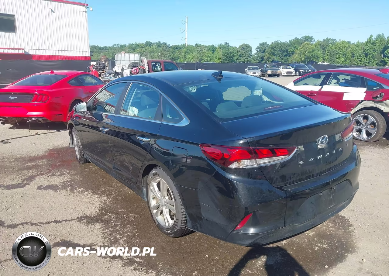 2019 Hyundai Sonata Sel VIN:5NPE34AF7KH748791 - 3