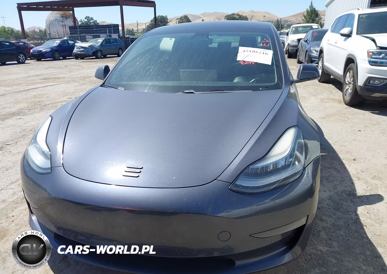 2019 Tesla Model 3 Long Range-Mid Range-Standard Range-Standard Range Plus VIN:5YJ3E1EA9KF398576 - 12