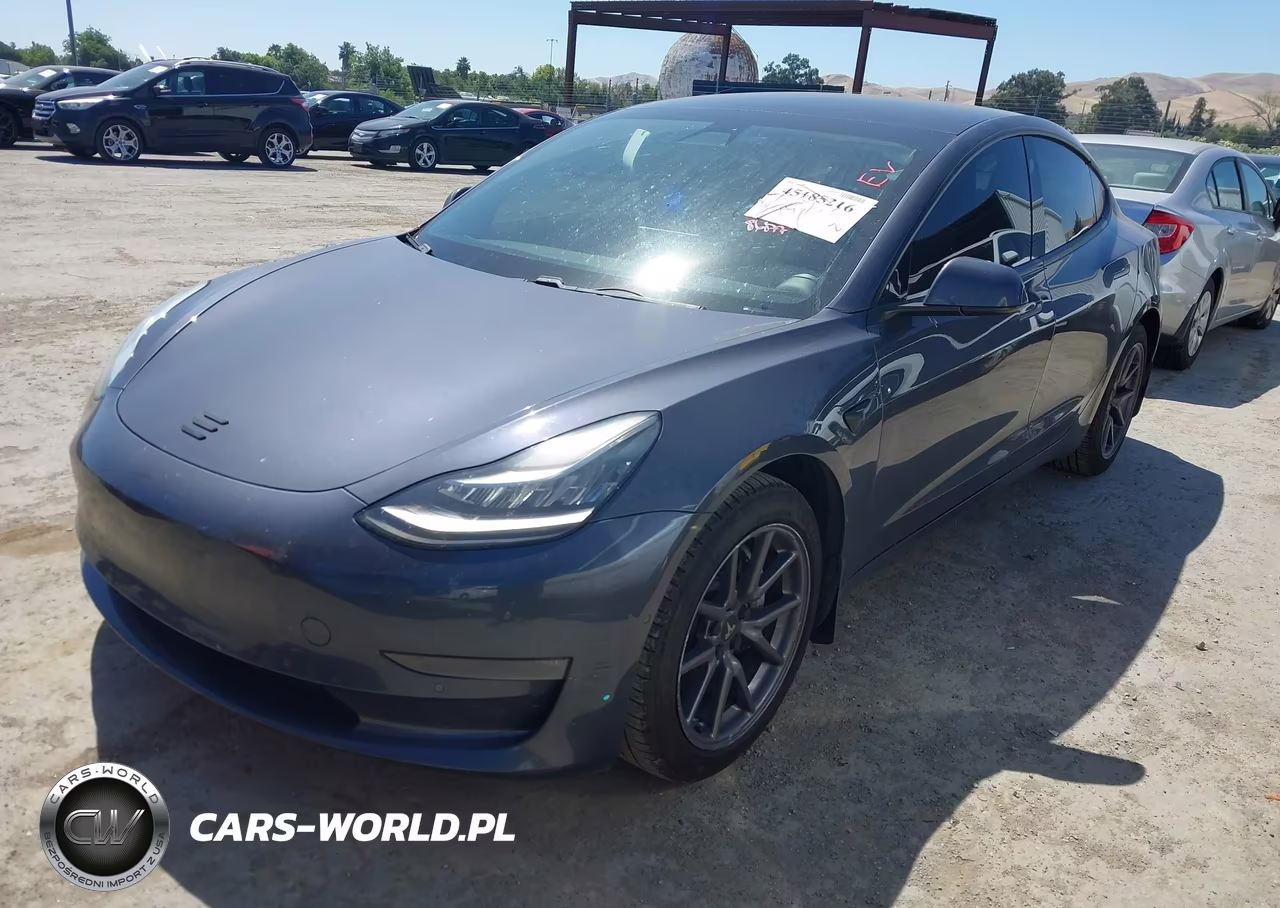 2019 Tesla Model 3 Long Range-Mid Range-Standard Range-Standard Range Plus VIN:5YJ3E1EA9KF398576 - 2